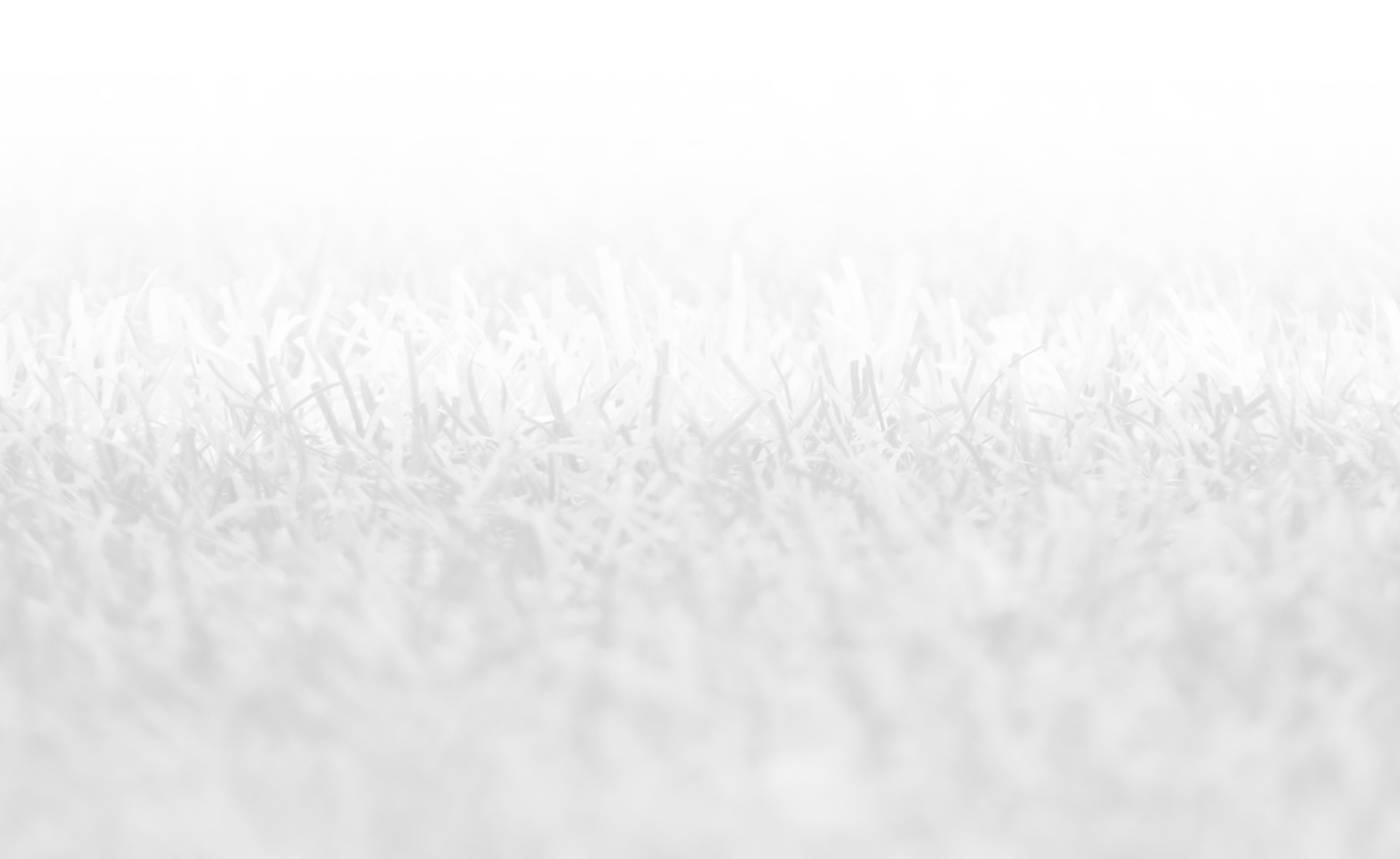 Multimedia
